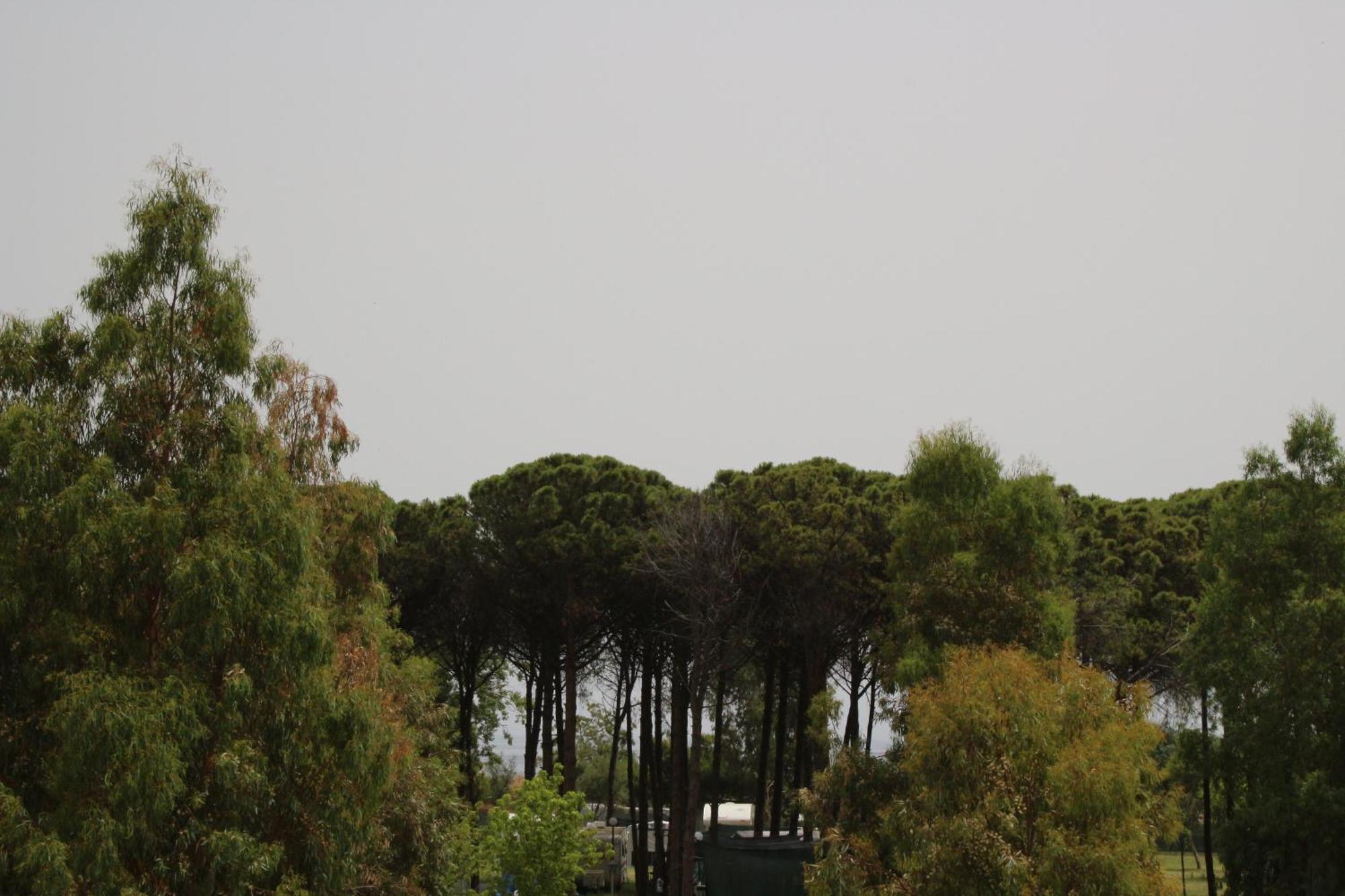 Levante Marina di Schiavonea Exteriör bild